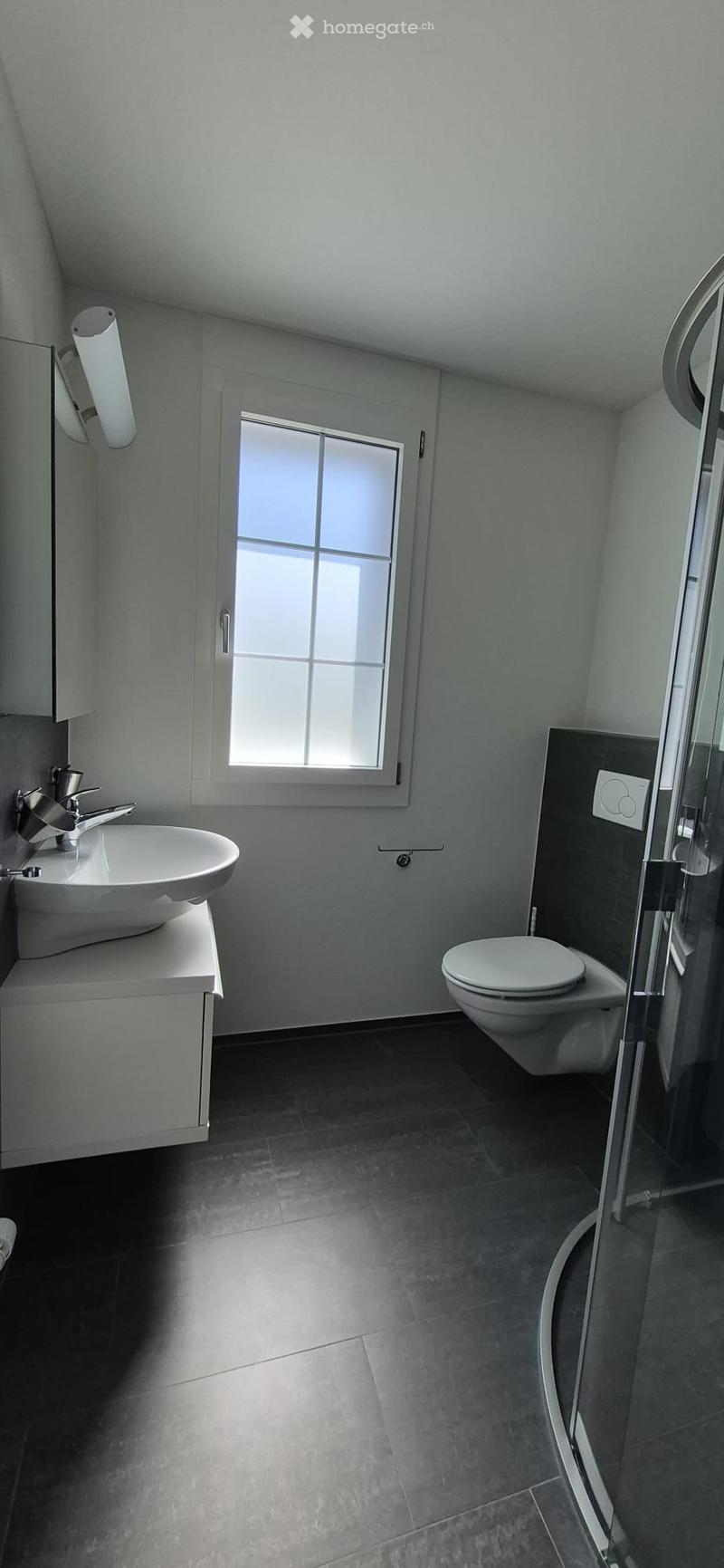 Modern bathroom with a white sink, chrome faucet, toilet, and a glass-enclosed shower area. The room features dark tiled flooring and a window with frosted glass panes.