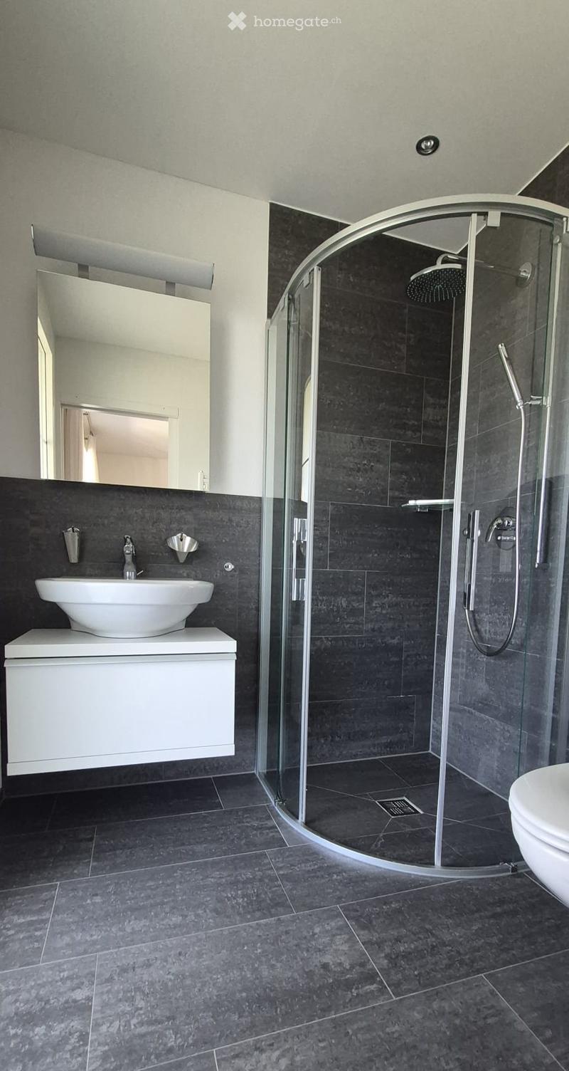Modern bathroom with dark grey tiles, a white sink with a modern faucet, a large mirror, a walk-in shower with glass enclosure, and a toilet.