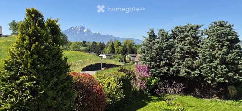 A well-maintained garden with various trees, shrubs, and a clear view of mountains in the background.