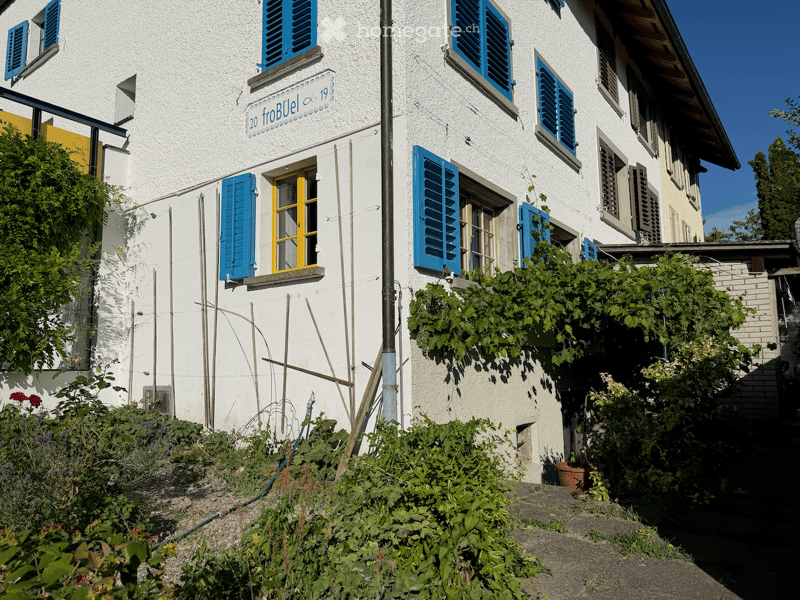 A two-story white building with blue shutters and yellow-framed windows, surrounded by lush greenery and climbing vines.