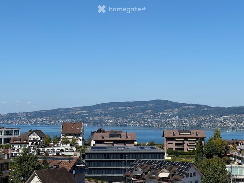 Penthouse der Extraklasse in Wollerau (3)