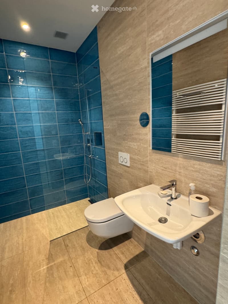 Penthouse der Extraklasse in Wollerau (6)