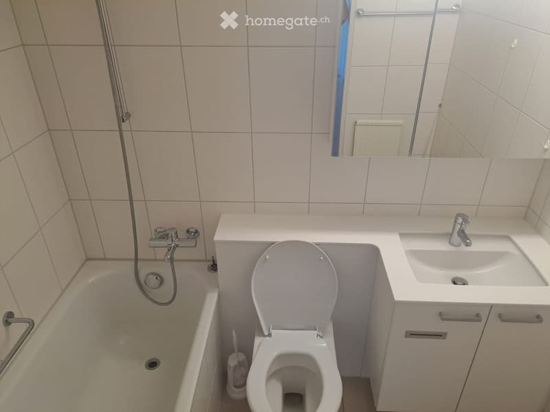 Modern bathroom with white tiles, bathtub, toilet, sink, and mirror. Features a shower hose and a small cabinet under the sink.