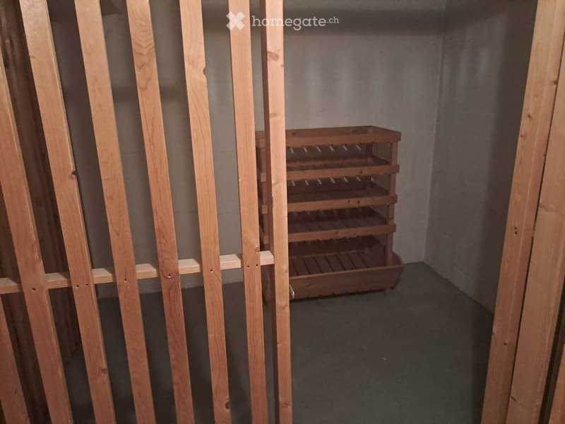 Empty room with unfinished wooden framing and a wooden shelf unit in the center.