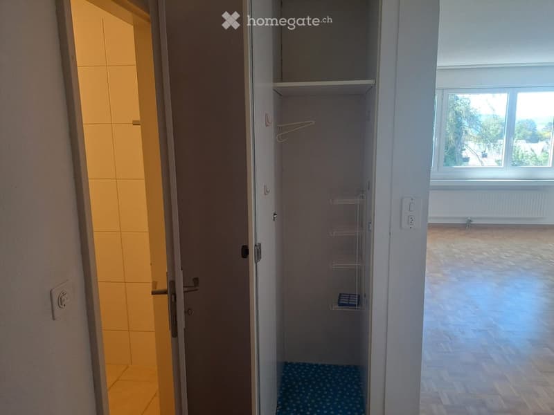 Empty room with tiled floor, white walls, and a small closet with a wire basket inside. The adjacent room has large windows and a tiled floor.