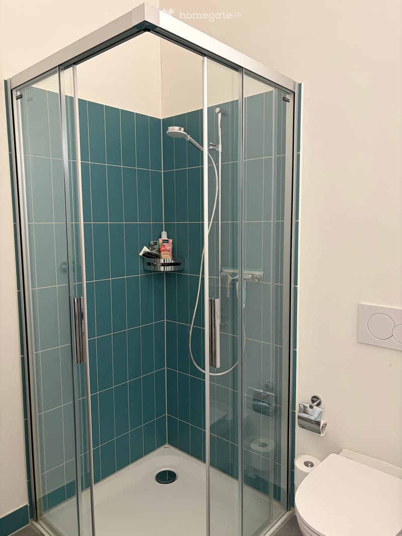 Traumhafte Duplex-/Maisonette-Wohnung in Winterthur direkt am Hauptbahnhof - Kautionsfrei!! (10)