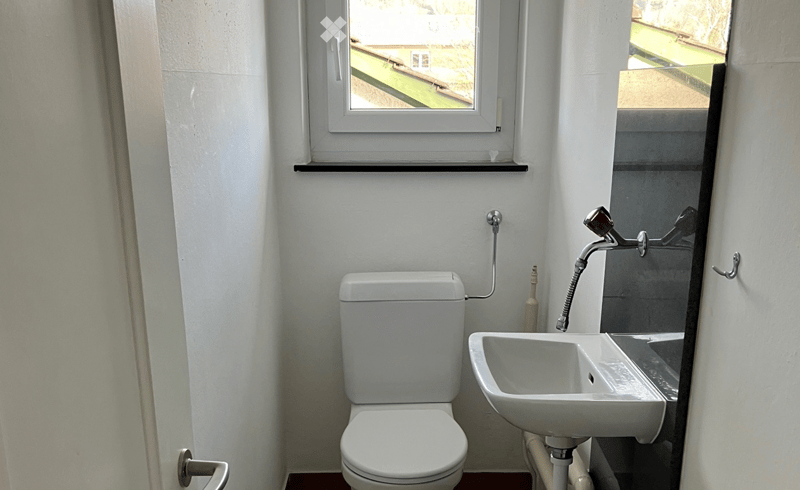 Modern bathroom with white toilet, sink, and mirror. Features a window with a view of a green outdoor area.