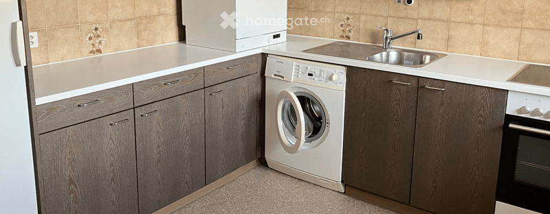 Modern kitchen with wooden cabinets, stainless steel sink, washing machine, refrigerator, and oven.