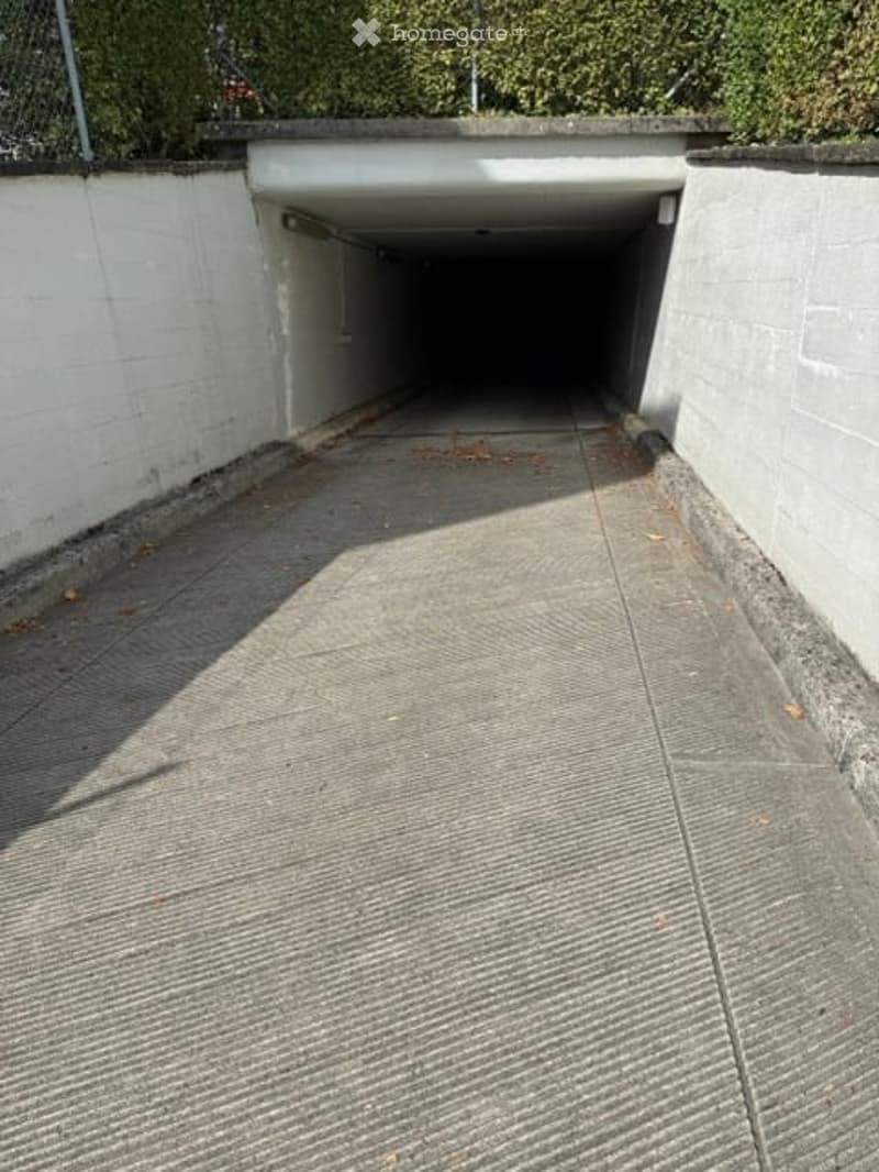 A narrow concrete corridor with white walls, leading to a dark tunnel entrance. The floor is concrete with some scattered leaves, and the area is well-lit by natural light from the tunnel entrance.