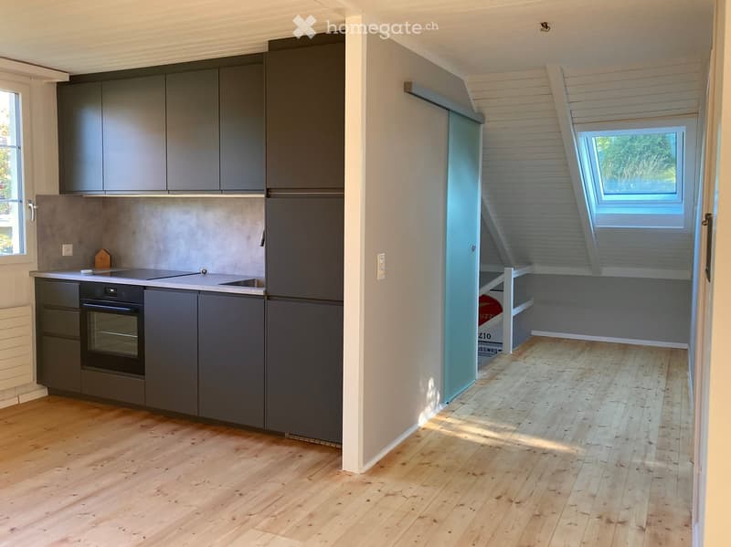 Modern kitchen with grey cabinets, stainless steel appliances, and wooden flooring. Features an oven, refrigerator, and sink, with a skylight providing natural light.