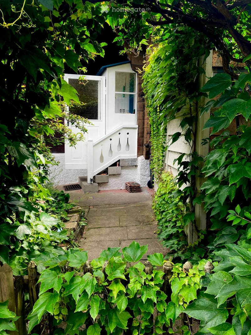 A narrow garden path leads to a small white shed with a staircase, surrounded by lush green ivy and foliage.