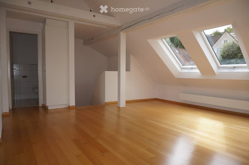 Empty attic room with wooden flooring, white walls, skylights, and a visible bathroom area with tiled walls and a toilet.