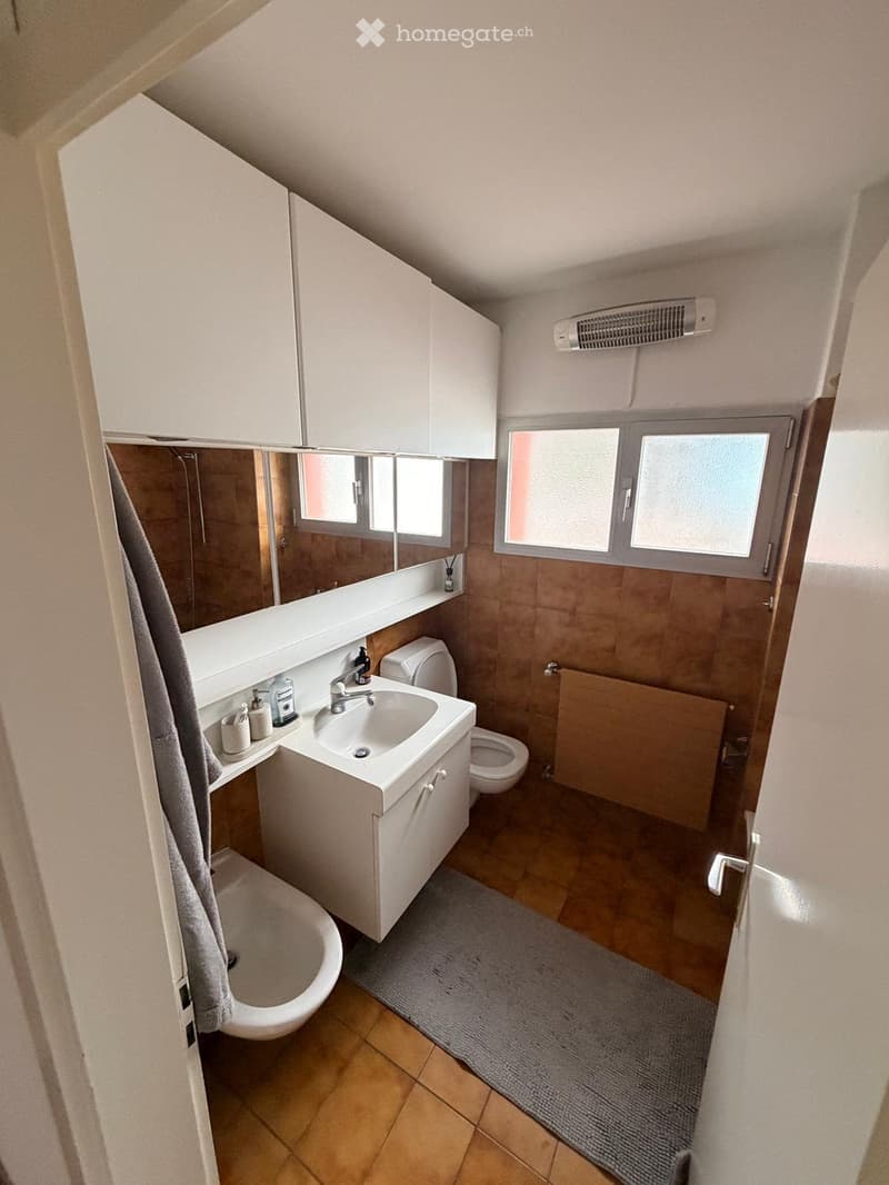 white cabinets, toilet, sink, bidet, shower area, radiator