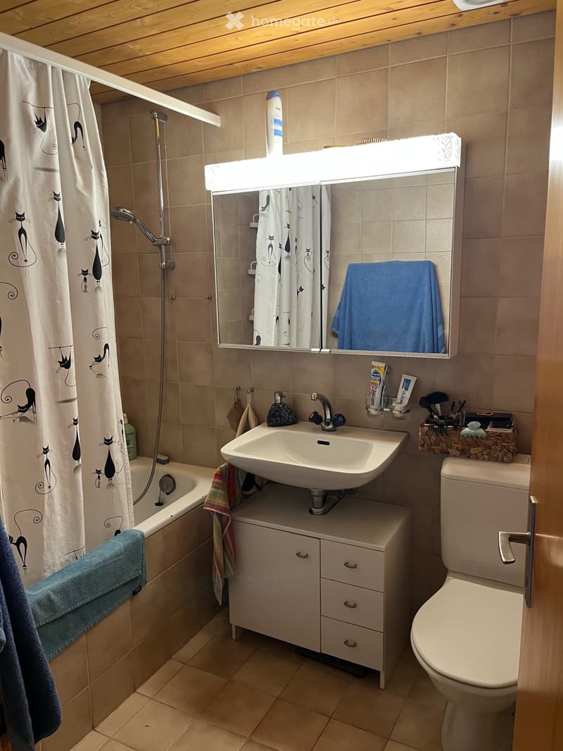 Bathroom with a sink, toilet, bathtub, mirror, and various toiletries. Features a shower curtain with cat designs and a towel on the side.