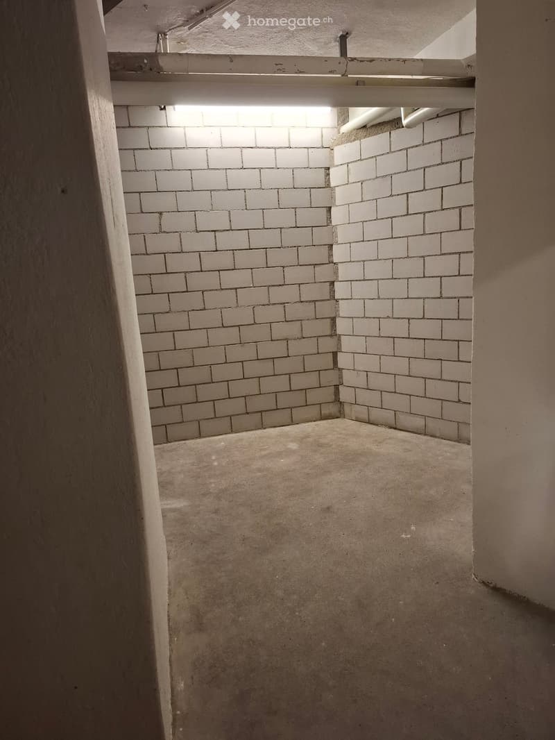 Empty hallway with white brick walls and concrete floor, illuminated by overhead lighting.