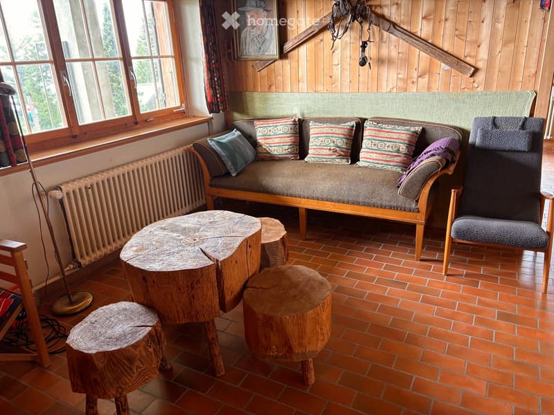 Cozy living room with wooden walls, a sofa with colorful pillows, wooden stools, a wooden chair, and a radiator near the window.