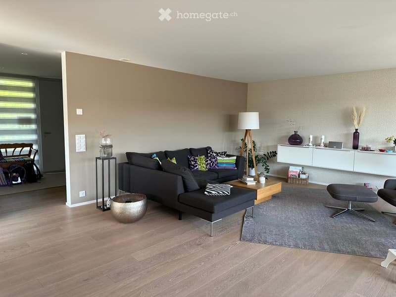 Modern living room with a dark grey sectional sofa, colorful throw pillows, a wooden coffee table, a floor lamp, and a grey rug on a light wooden floor.