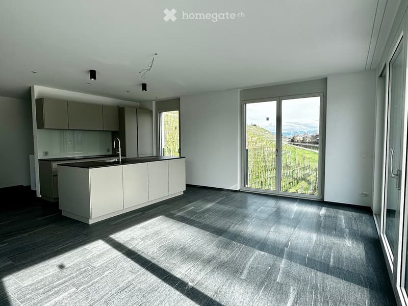 Modern kitchen with light grey cabinets, a central island, and a large window offering a scenic view of vineyards and mountains.