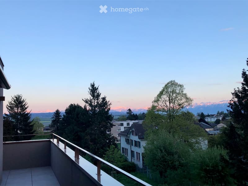 Balcony with a view of a suburban area, trees, and distant mountains under a clear sky.