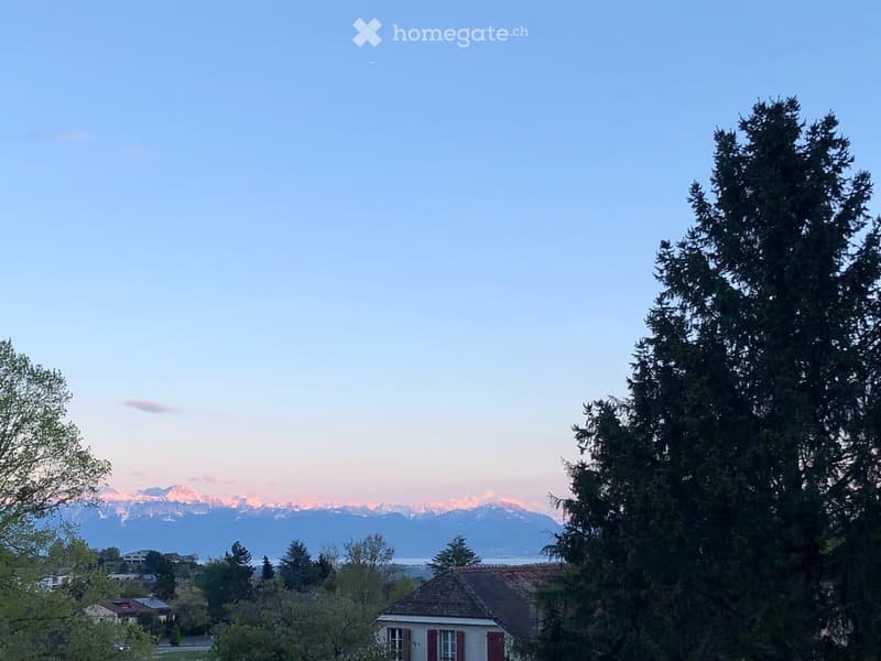 A serene garden view with tall trees, a small house with red shutters, and distant mountains under a clear sky.