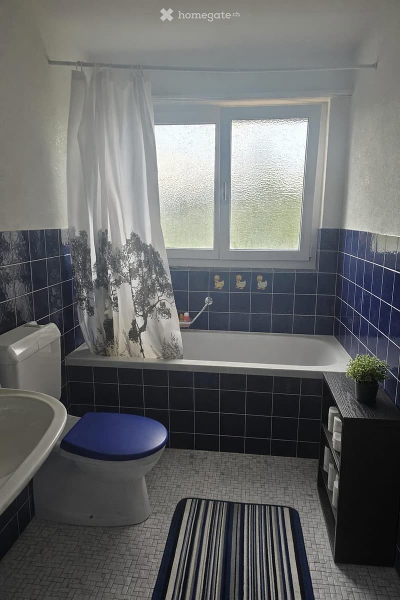 Bathroom with blue tiles, a bathtub, toilet, sink, shower curtain, and a small plant on a shelf.