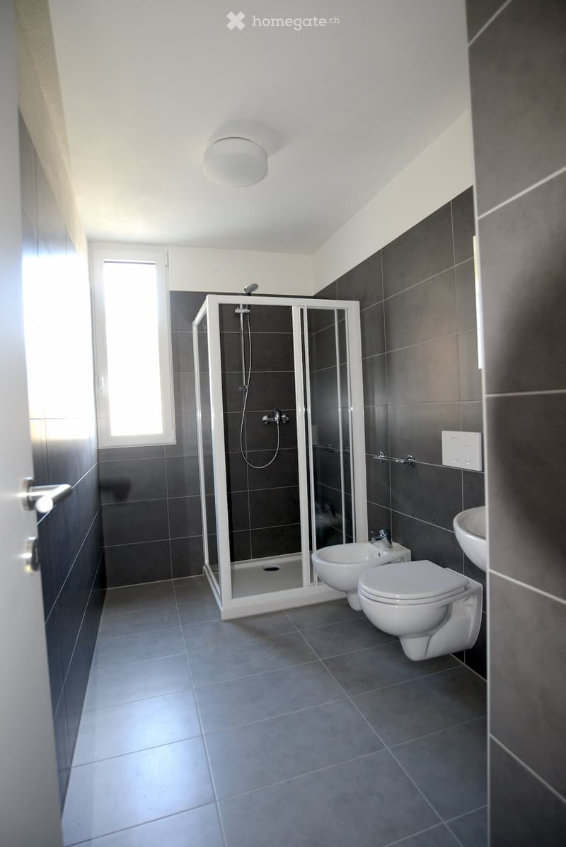 Modern bathroom with dark grey tiles, white fixtures, and a glass-enclosed shower stall.