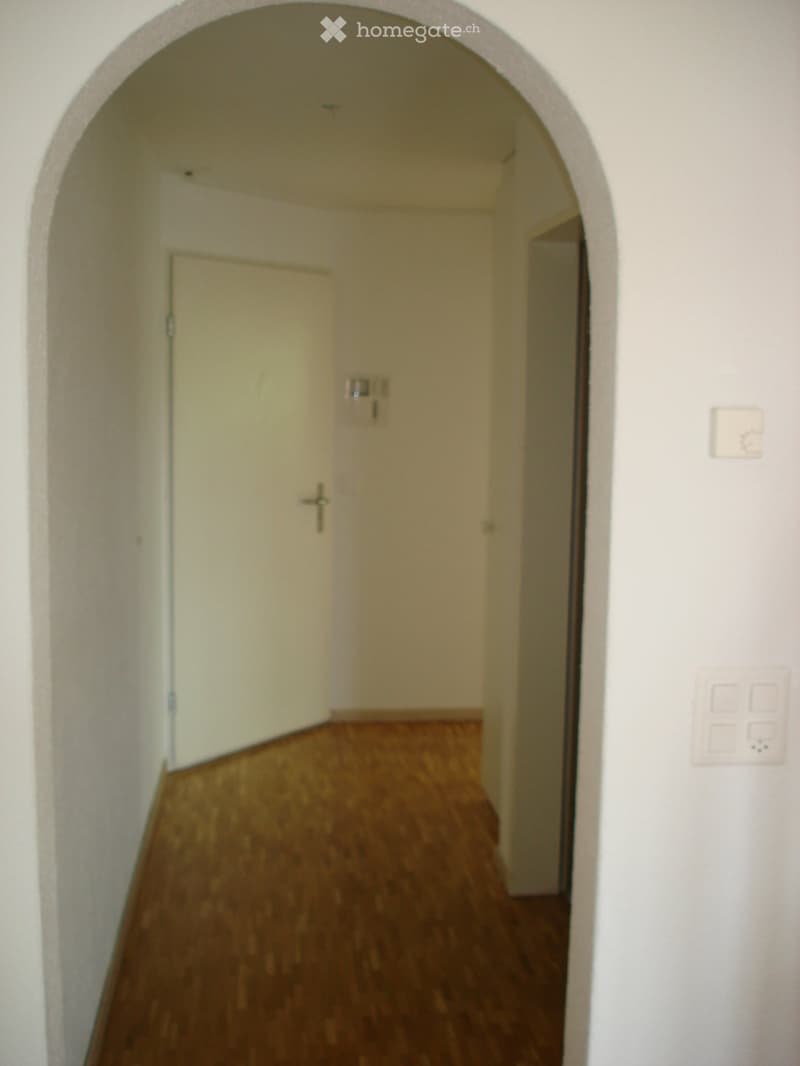 A narrow hallway with wooden flooring and white walls, featuring a closed door and light switches on the right wall.