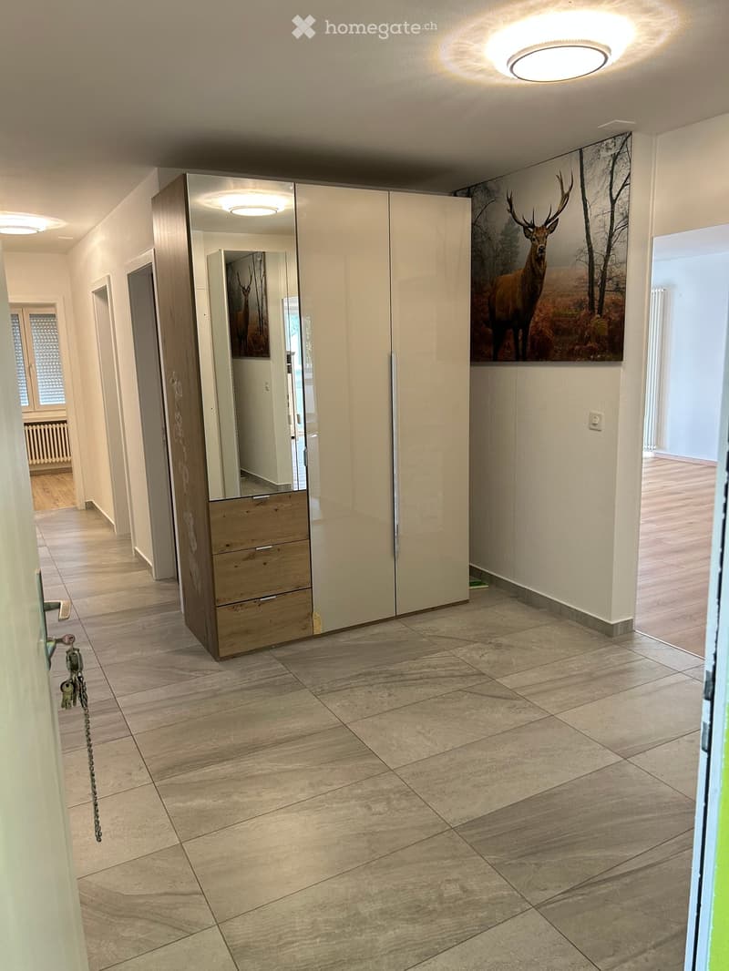 Modern hallway with tiled floor, large mirrored wardrobe, artwork of a deer, and recessed lighting.