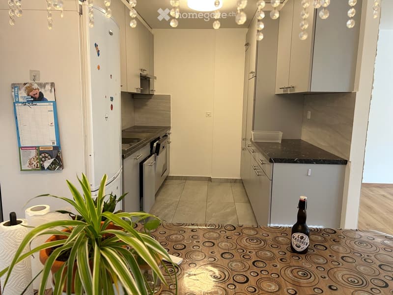 Modern kitchen with white cabinets, stainless steel appliances, and a black countertop. A calendar is on the wall, and a plant and a bottle are on the floor.