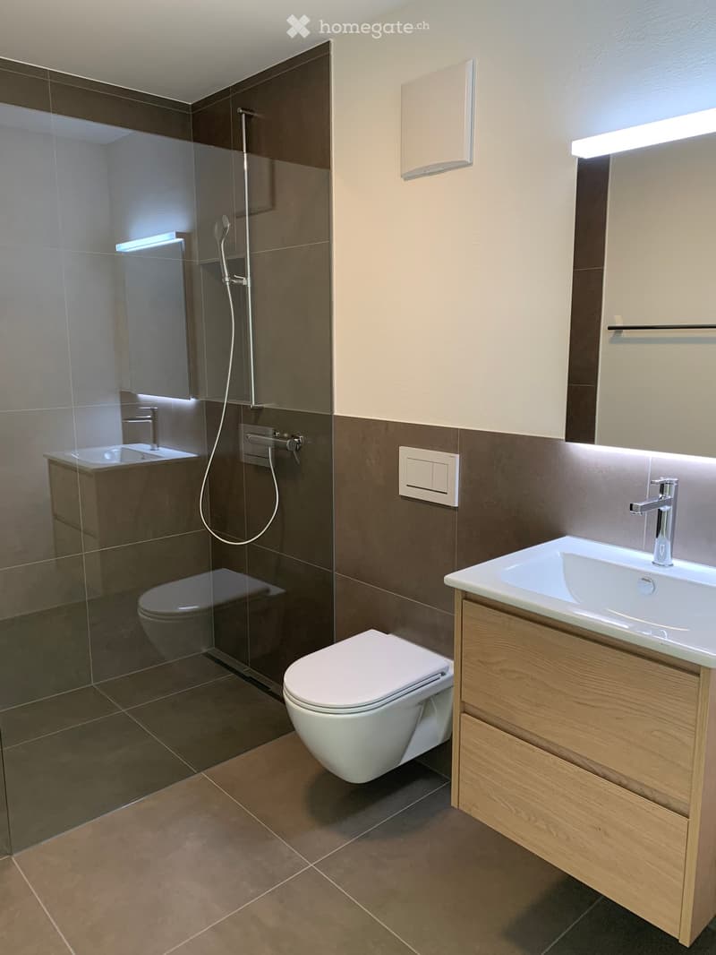 Modern bathroom with a toilet, sink, and shower area. Features include a wooden vanity cabinet, a glass shower enclosure, and built-in lighting.