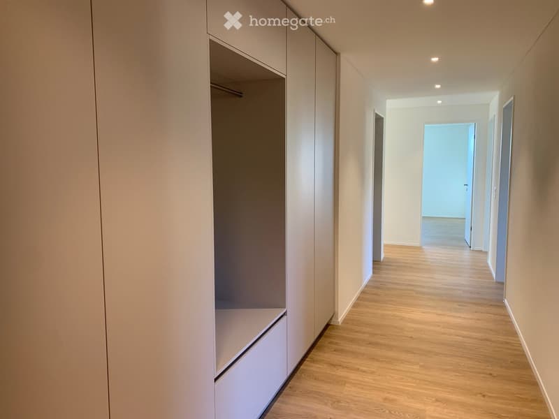 Modern hallway with light wooden flooring, white walls, built-in closet with sliding doors, and recessed ceiling lighting.