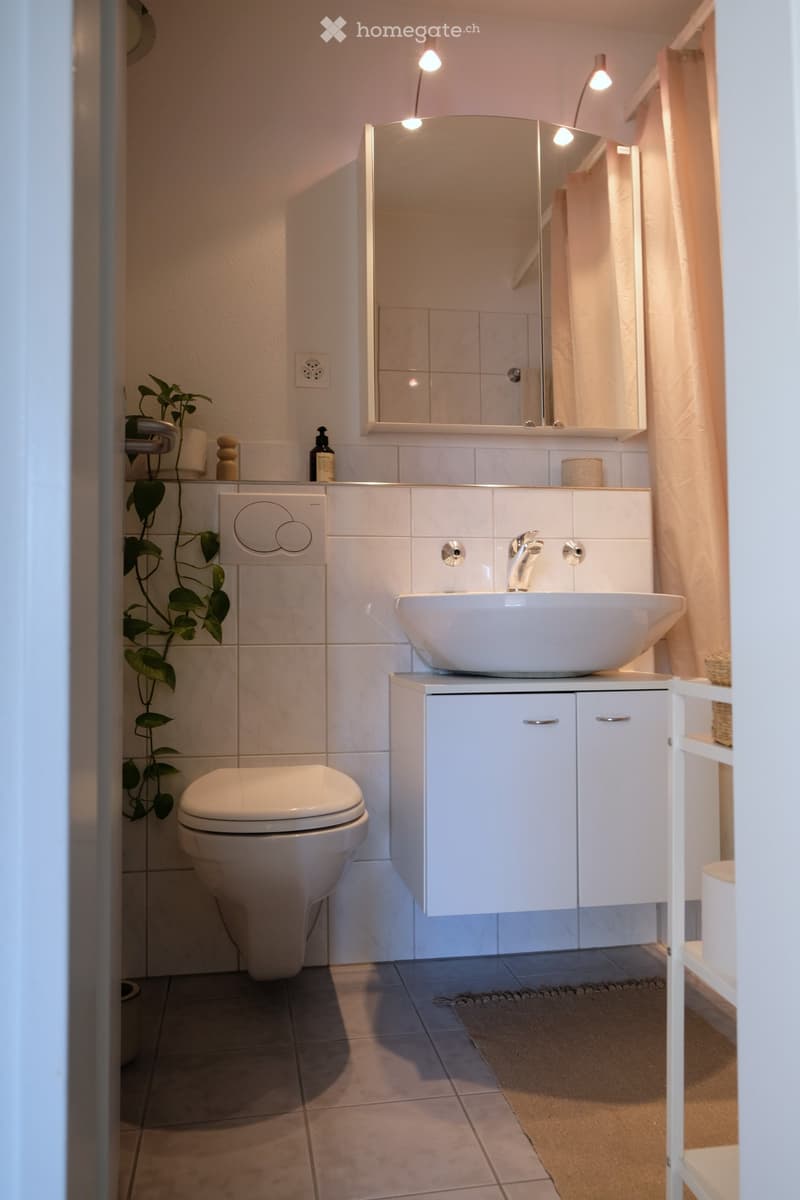 Modern bathroom with white tiles, a toilet, a sink with a modern faucet, a large mirror, and a small plant on the wall.