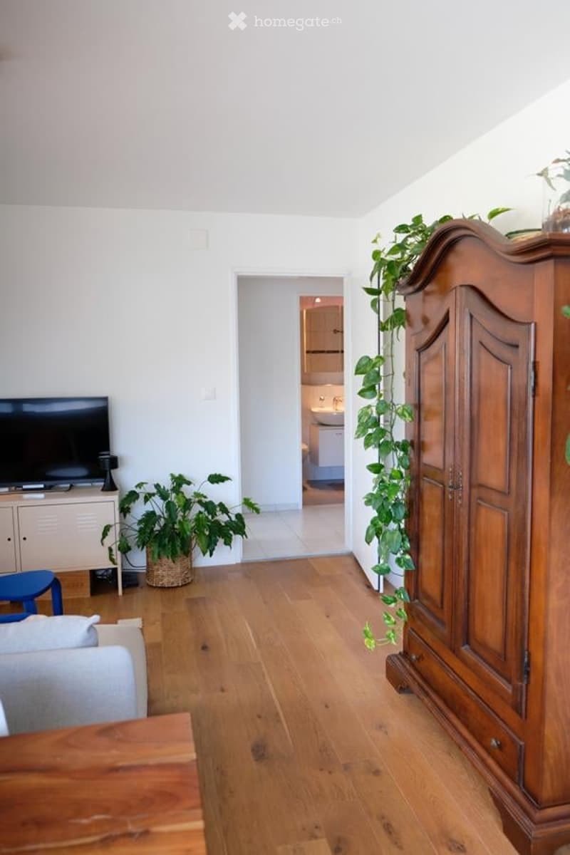 Bright living room with wooden flooring, white walls, a grey sofa, coffee table, TV, wardrobe, and plants.