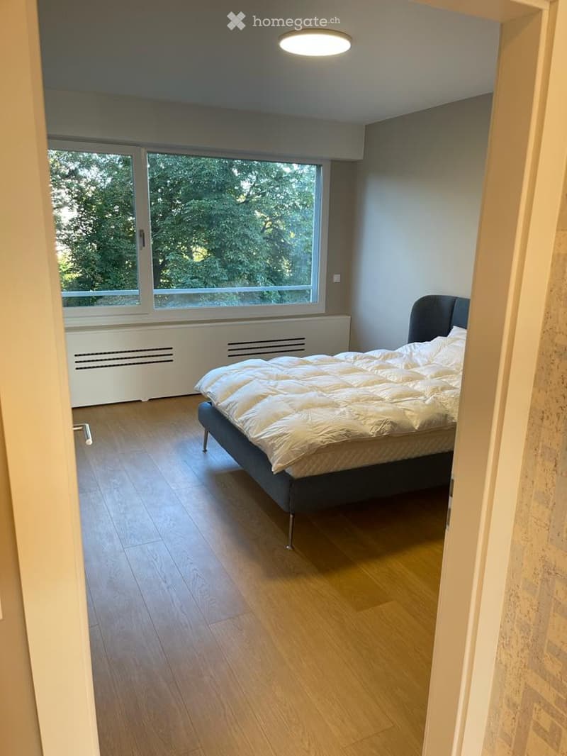 Bright bedroom with wooden flooring, large window, bed with white duvet, radiator under window, and modern ceiling light.