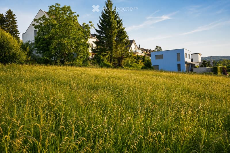 A grassy field with several modern houses in the background, surrounded by tall trees and shrubs.
