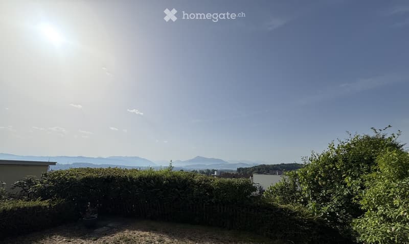 A sunny outdoor garden area with a wooden fence, lush greenery, and a scenic view of mountains and a body of water in the distance.