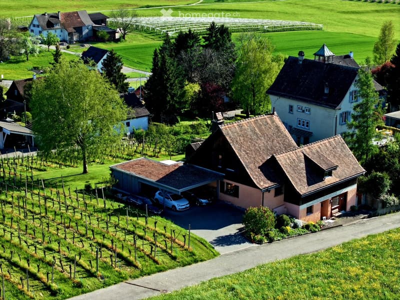 Aerial view of a rural residential area with multiple houses, a garage, and surrounding green fields and vineyards.
