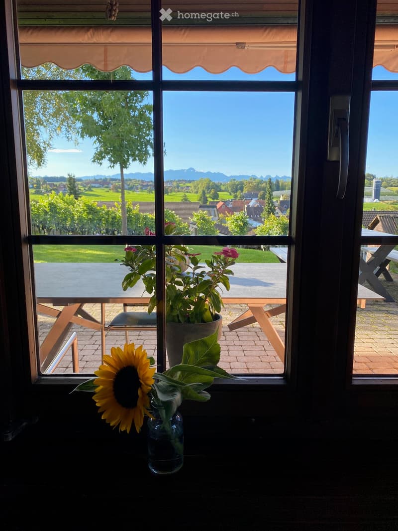 View from a window showing a sunny outdoor area with a table, chairs, and potted plants, overlooking a scenic countryside with fields and mountains.
