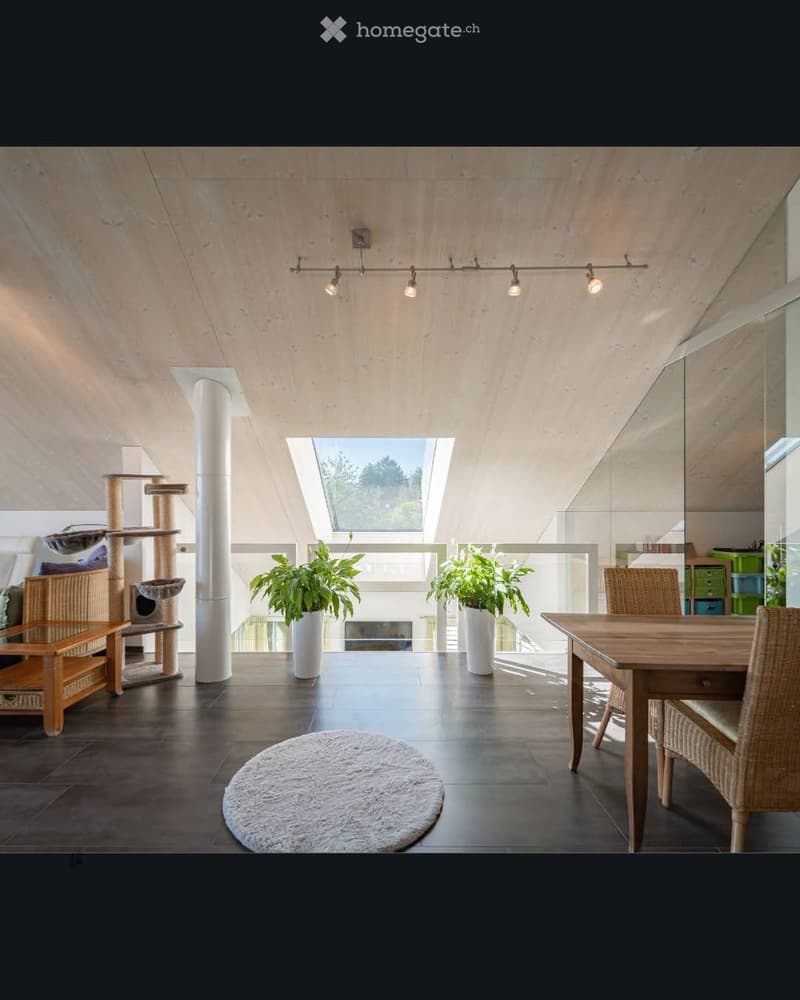Modern, open-concept living space with exposed wooden beams, skylight, and large windows. Features a cat tree, dining table with chairs, potted plants, and a round rug.