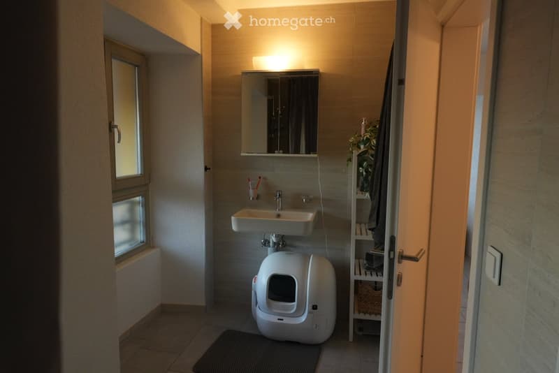 Modern bathroom with a white sink, mirror, cat litter box, toothbrush holder, and a small shelf with a plant and towel.