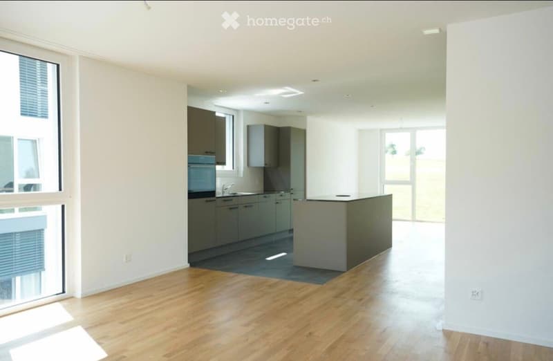 Open-plan unfurnished room with wooden flooring, large windows, and a kitchen area featuring grey cabinets and a central island.