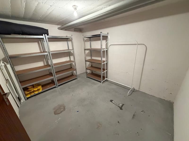 Empty basement room with concrete floor, metal shelving units, and a clothing rack. No furniture or personal items present.