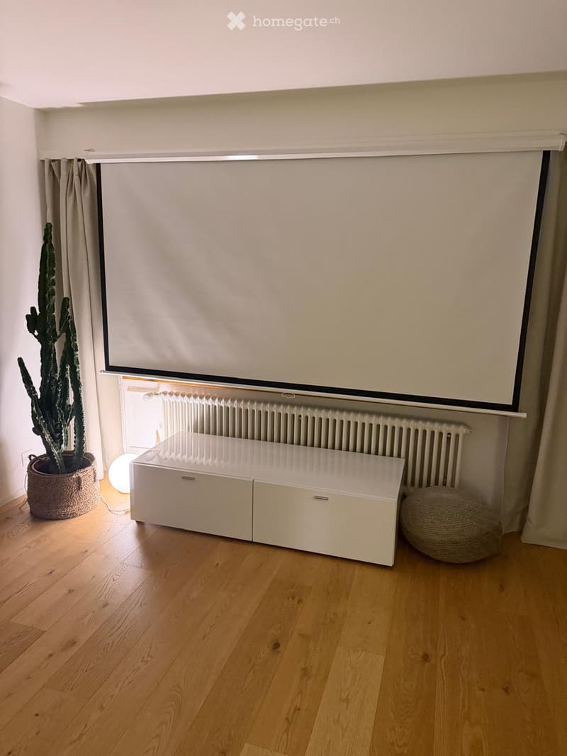 A modern living room with wooden flooring, a white cabinet, a large screen, a round ball, and a cactus in a pot.