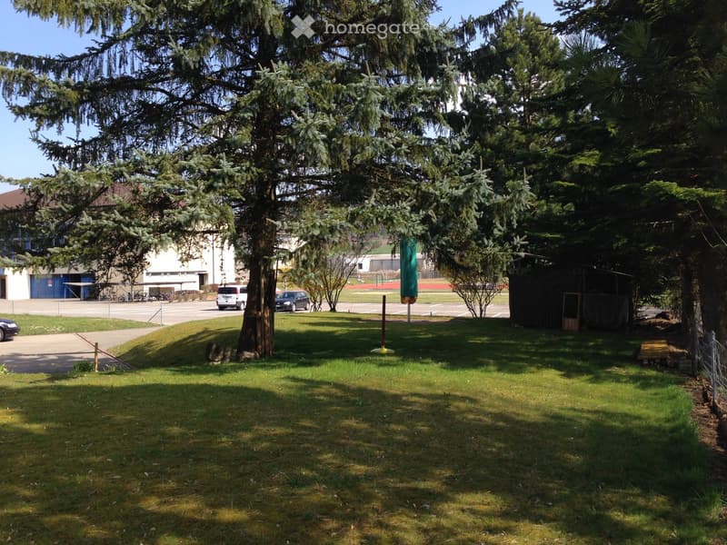 A grassy outdoor area with large trees, a paved walkway, and a building in the background. There are a few parked cars and a small structure near the building.