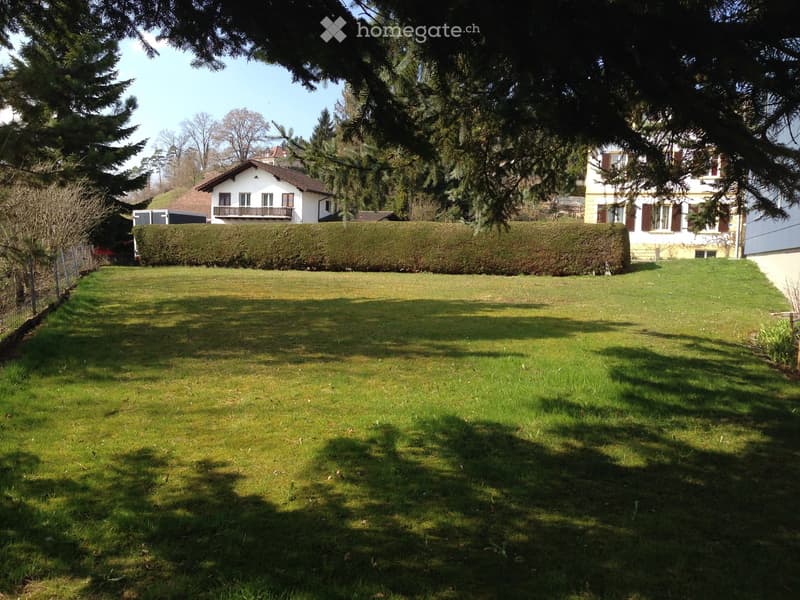 Well-maintained lawn with a neatly trimmed hedge, surrounded by trees and houses in the background.