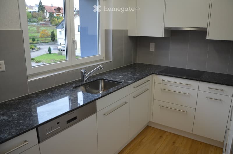 Modern kitchen with white cabinets, granite countertops, stainless steel sink and faucet, and built-in dishwasher.