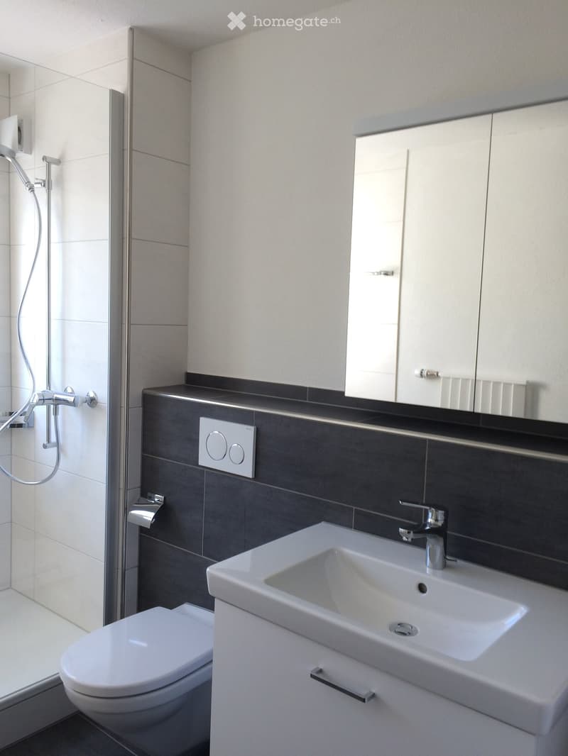 Modern bathroom with a white toilet, sink, and shower. Features a large mirror above the sink and a sleek, contemporary design.