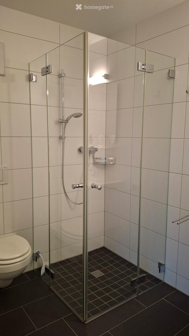 Modern bathroom with a glass-enclosed shower stall, a toilet, and a handheld showerhead with a control bar.