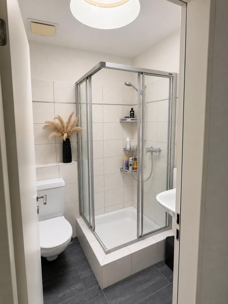 Modern bathroom with a white toilet, a glass-enclosed shower, a sink, and a decorative vase on a shelf.