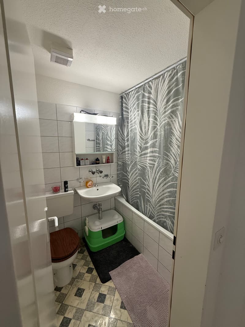 Small bathroom with a toilet, sink, mirror, and a shower area with a curtain. Includes a cat litter box and a towel on the floor.